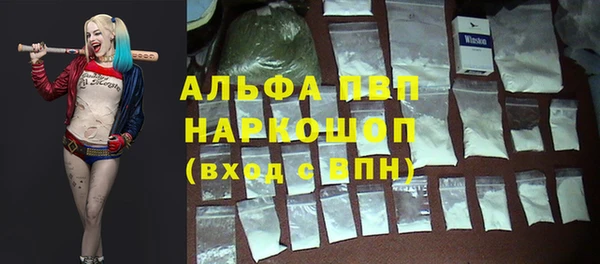 эйфоретик Беломорск